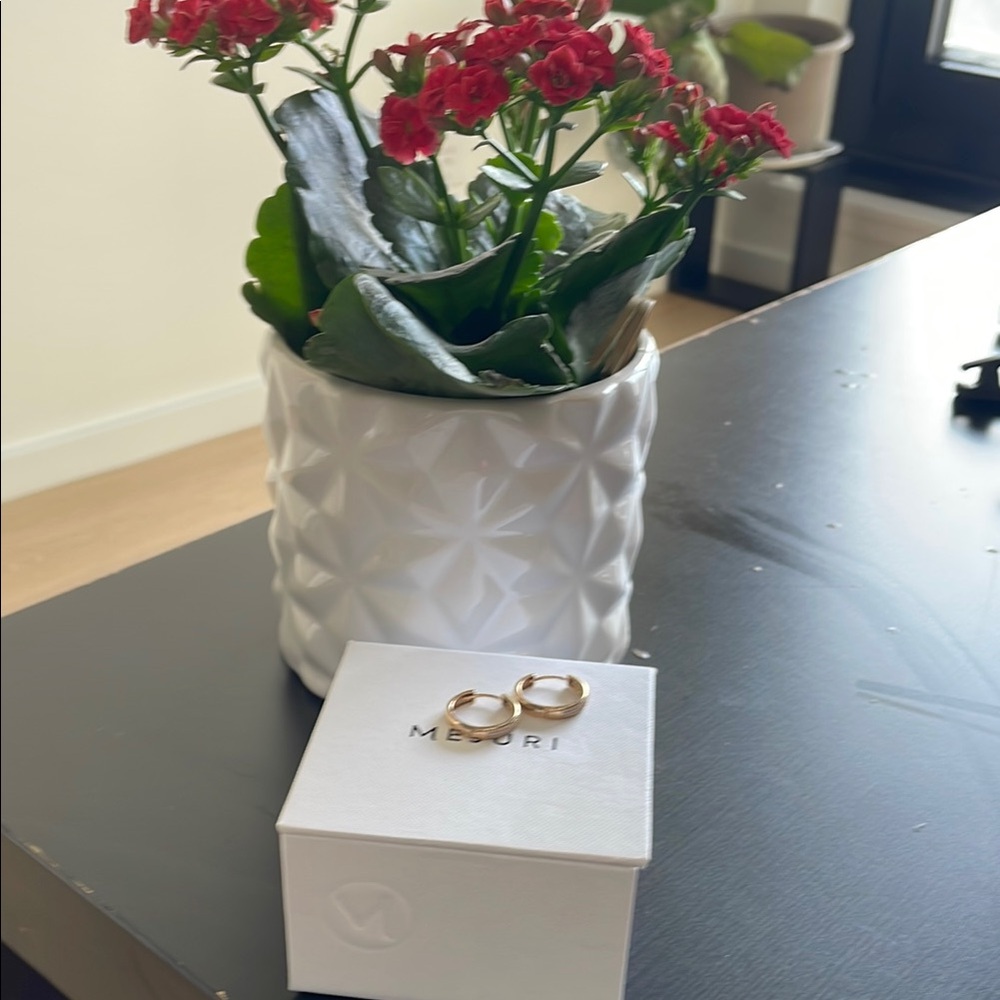 Mejuri Gold Hoop Earrings - the medium
